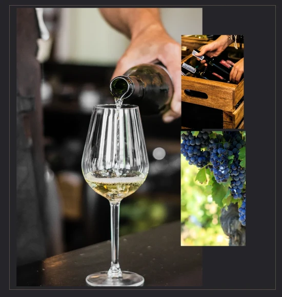 Degustazioni in cantina vino bottiglie vigneto. 